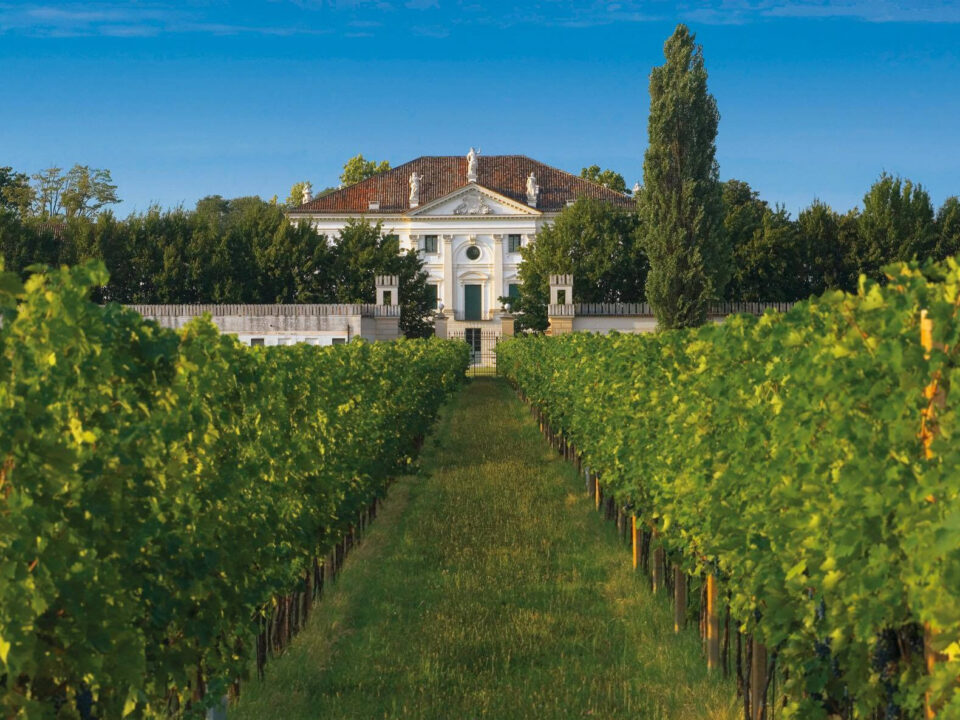 Passeggiata ai piedi del Montello con degustazione vini