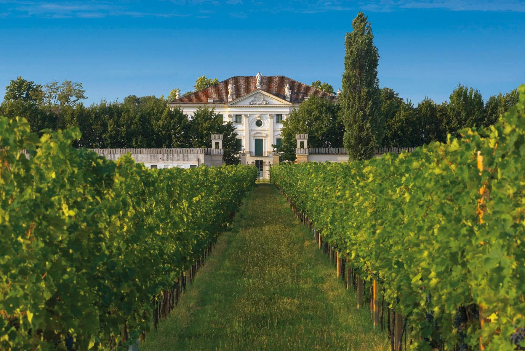 Passeggiata ai piedi del Montello con degustazione vini