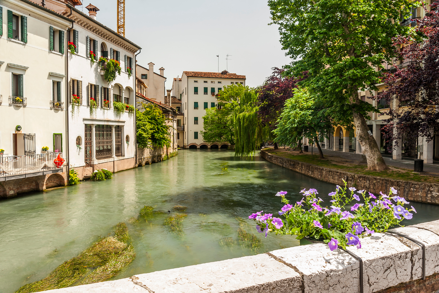 Tour dei segreti di Treviso